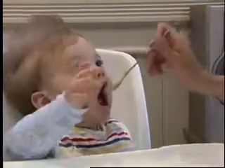 Organic Baby Food, The Best Start in Life