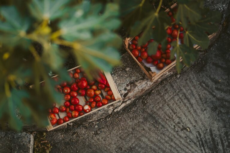 The Advantages of Organic Gardening