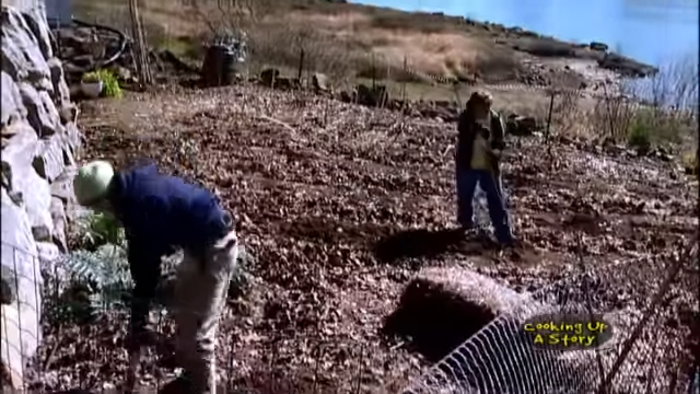 Organic Farming in the Backyard