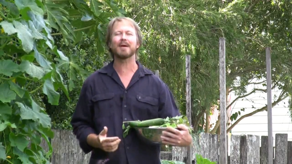 How Do I Start My Own Organic Vegetable Garden?