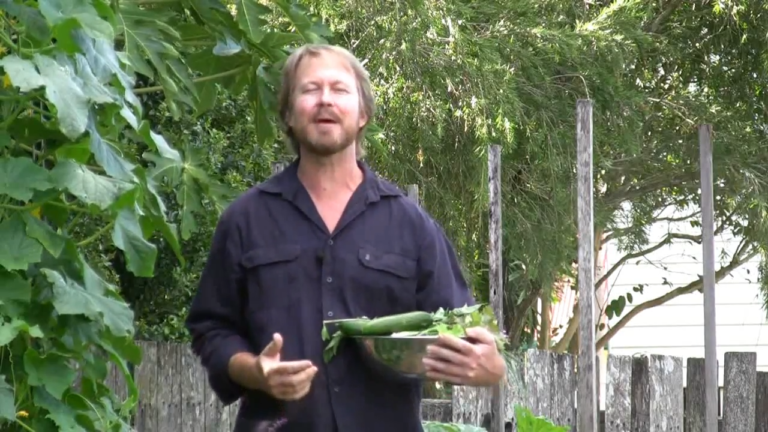 How Do I Start My Own Organic Vegetable Garden?