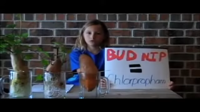 Organic Potato or Pesticide Sprayed Potato, Which Would You Rather Eat?