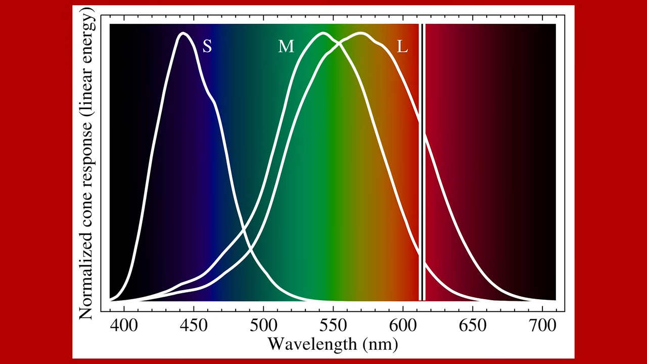 Organic Clothing, Healthy, Glamorous and Green