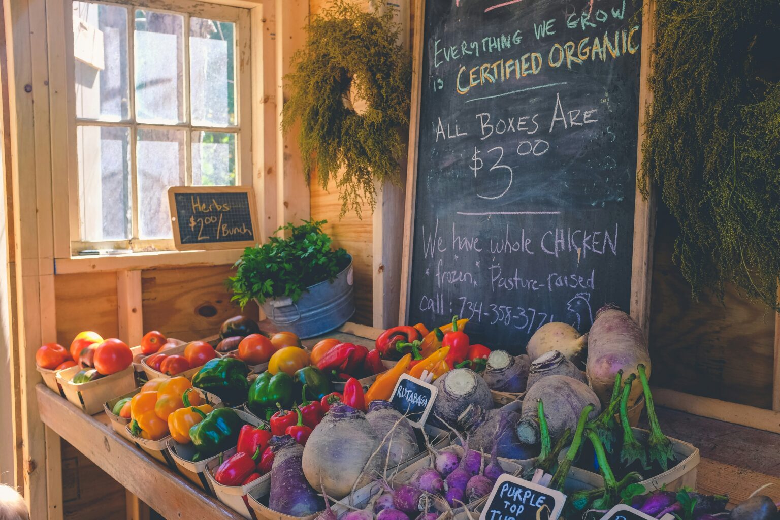 Organic Food - How Does Organic Food Differ from Conventionally Farmed and Processed Food?
