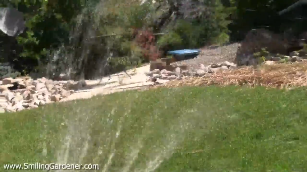 Mulch, Microbes and Moisture, Organic Gardening Tips