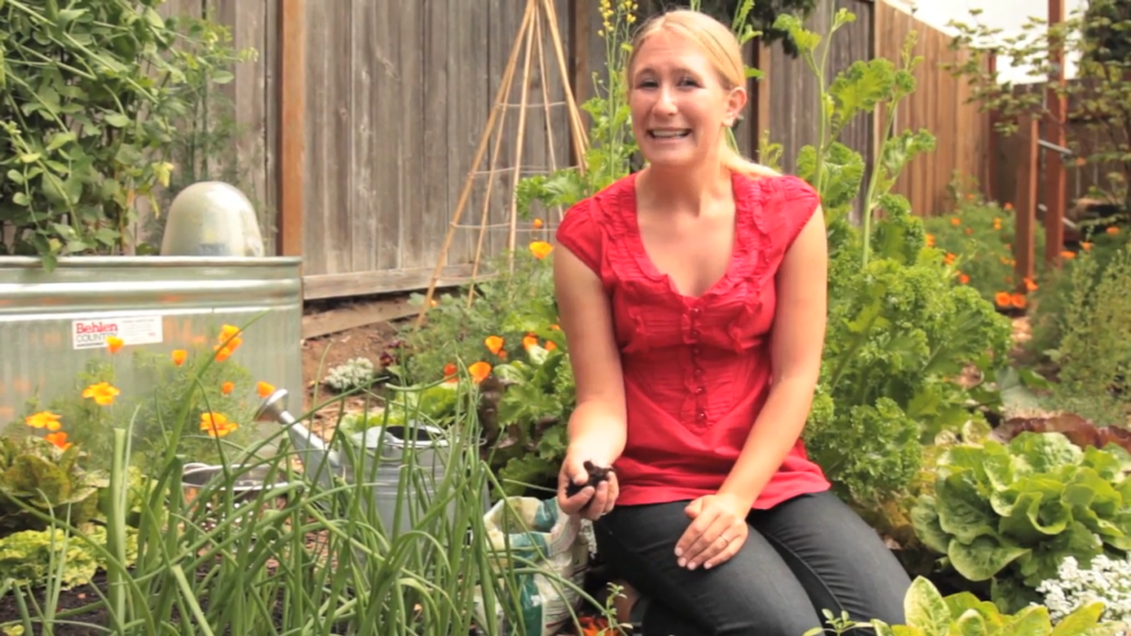Green Salad and Goat Cheese Toast With Ingredients From Your Garden