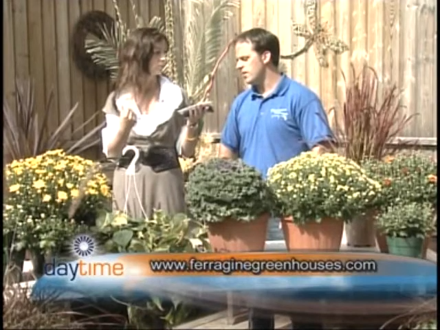 How to Transform Lunch and Breakfast Waste Into Food For Your Garden