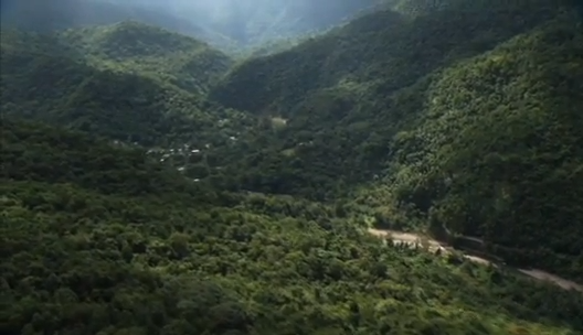 Bob Marley and Organic Farming, What Do They Have in Common?