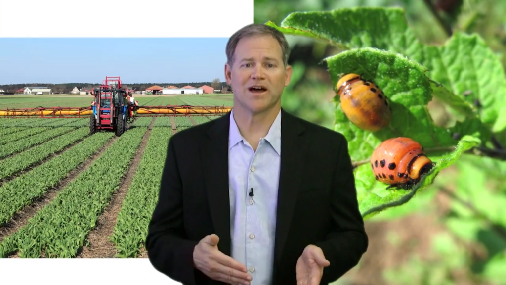 Why I Prefer Organic Food, the Debunkers Debunked