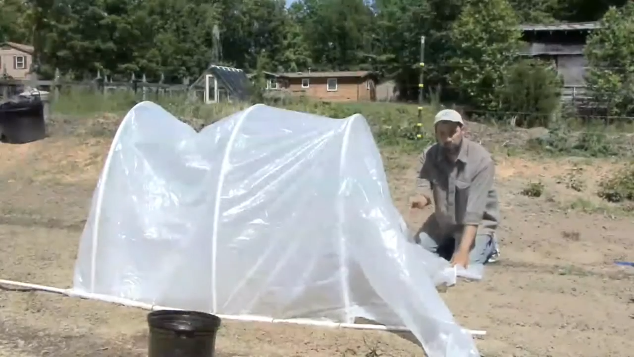 How To Build a Mini Greenhouse for Your Organic Vegetables