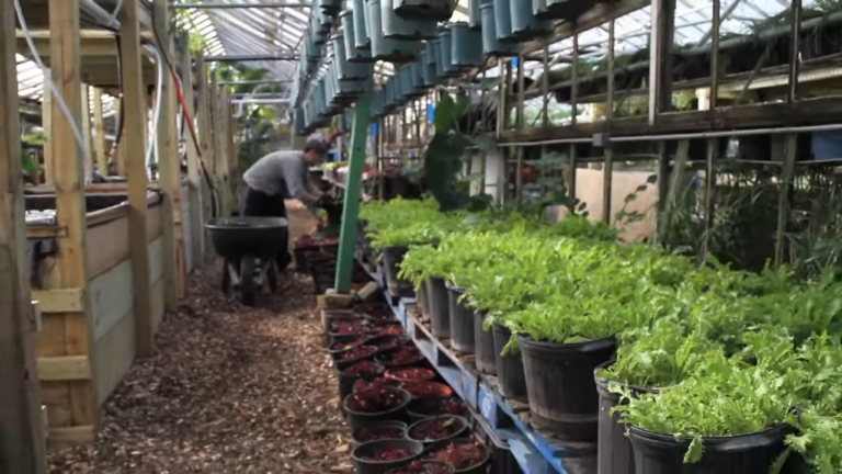 How 3 Acres Produce Over One Million Pounds of Organic Food for Urban Dwellers