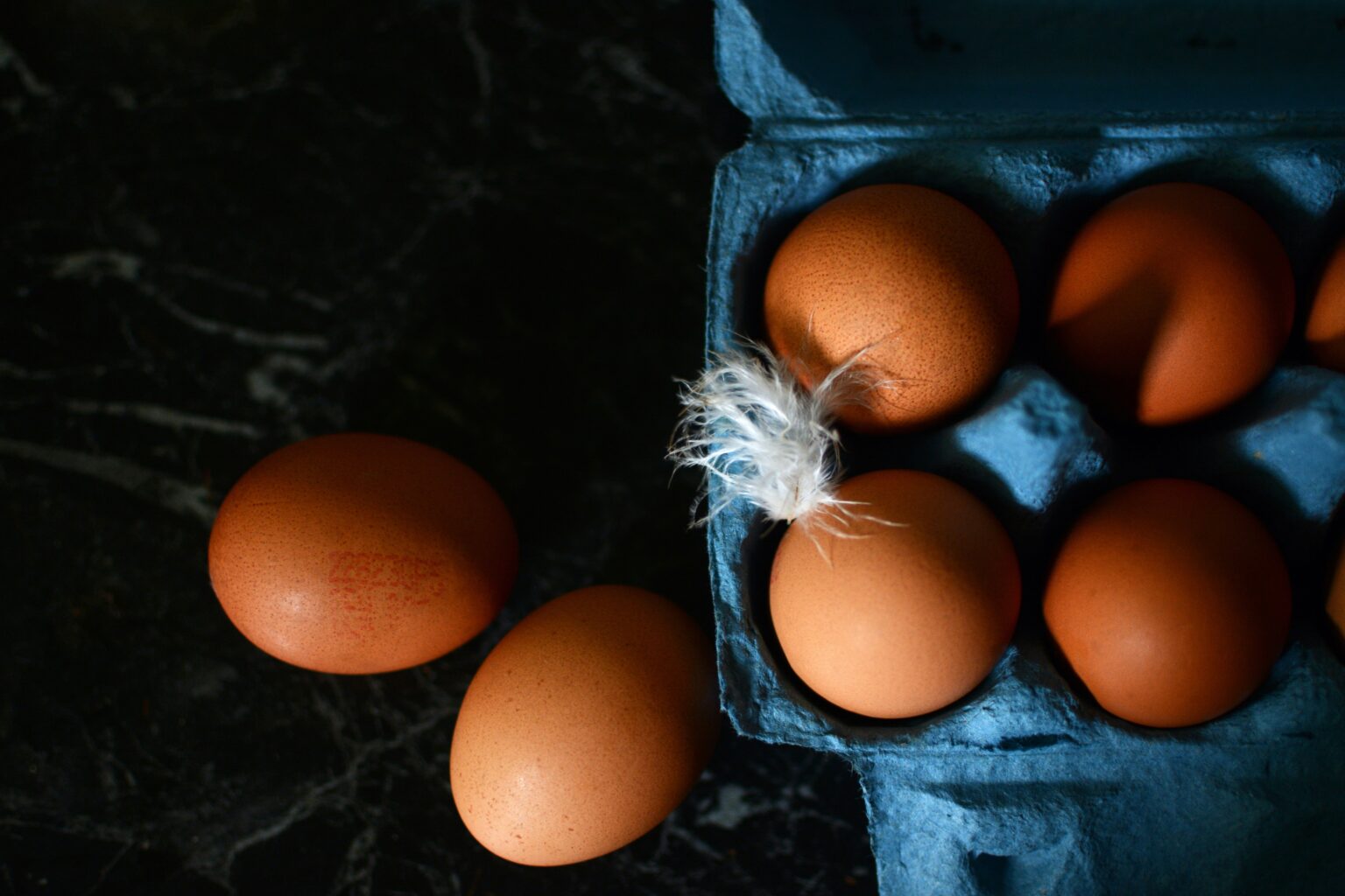 Are All Organic Eggs Created Equal?