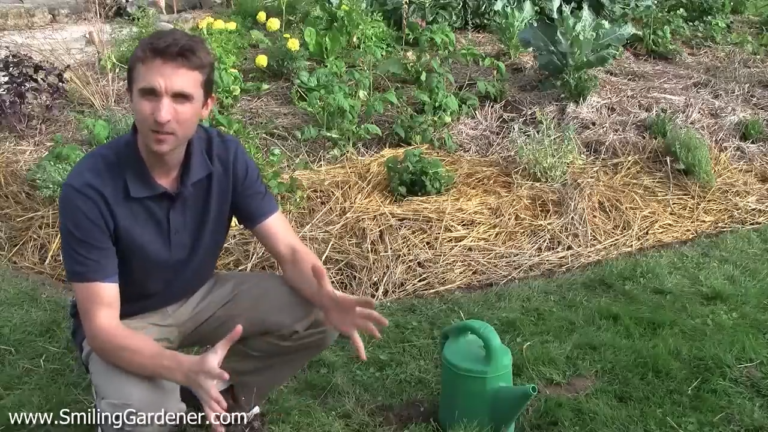 Learn About Organic Gardening from Phil Nauta, the Smiling Gardener
